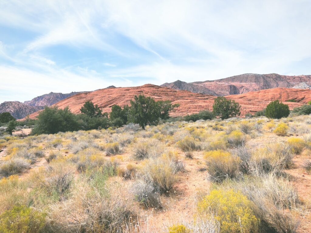 アメリカユタ州スノーキャニオン州立公園Snow Canyon State Park見どころ魅力トレイル・ハイキングモデルコース日本人観光