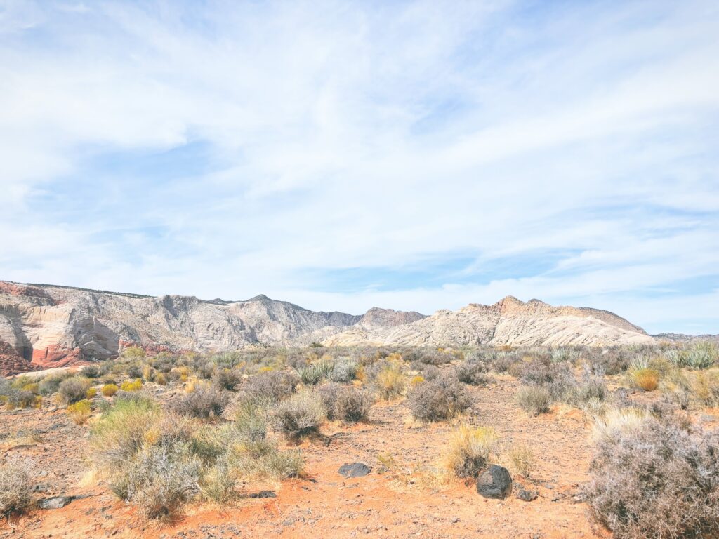 アメリカユタ州スノーキャニオン州立公園Snow Canyon State Park見どころ魅力トレイル・ハイキングモデルコース日本人観光