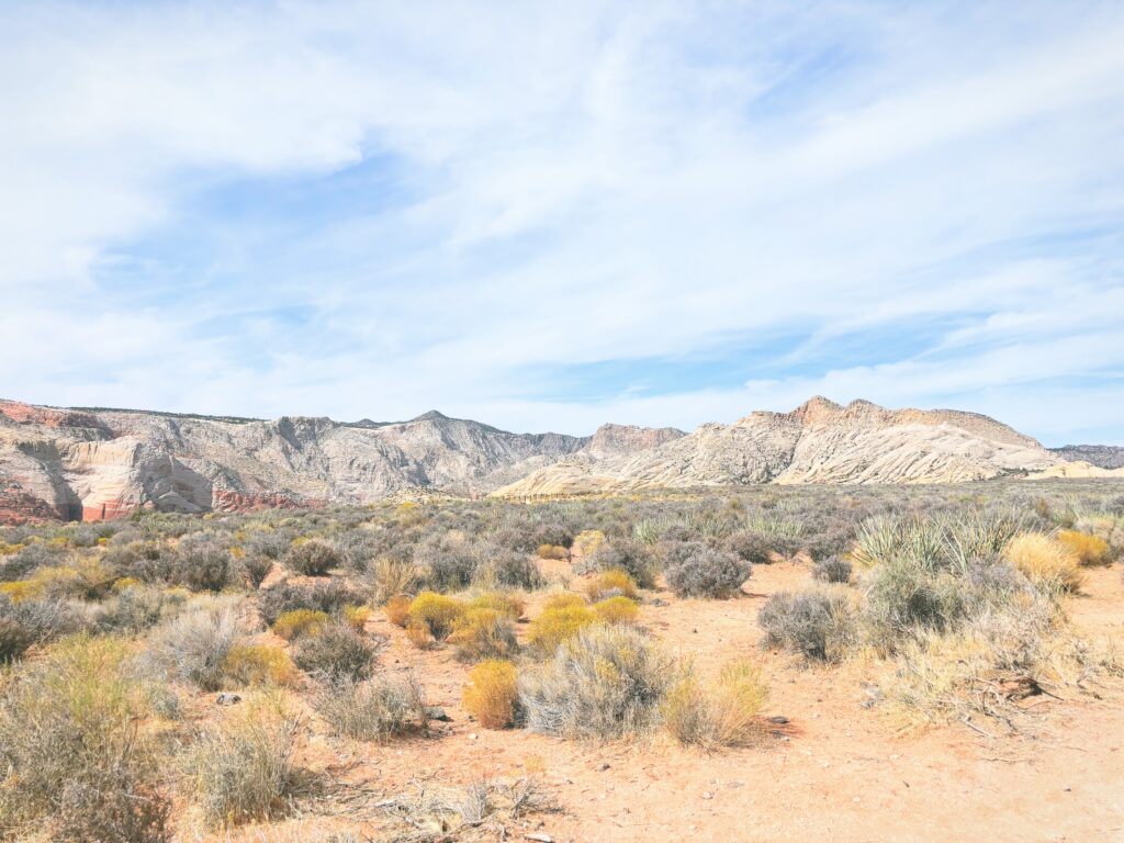 アメリカユタ州スノーキャニオン州立公園Snow Canyon State Park見どころ魅力トレイル・ハイキングモデルコース日本人観光