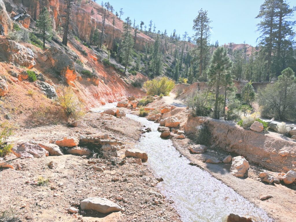 アメリカユタ州ブライスキャニオン国立公園Bryce Canyon National Park見どころ魅力トレイル・ハイキングモデルコース日本人観光