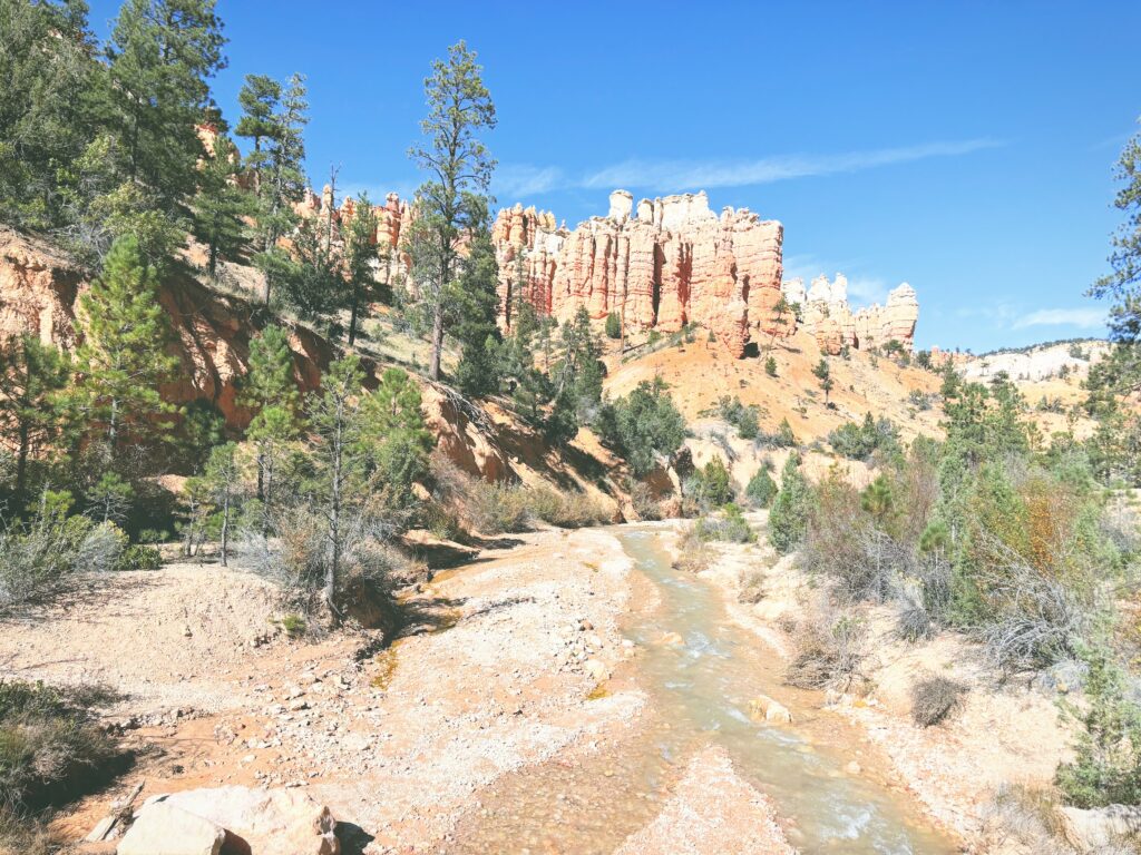 アメリカユタ州ブライスキャニオン国立公園Bryce Canyon National Park見どころ魅力トレイル・ハイキングモデルコース日本人観光