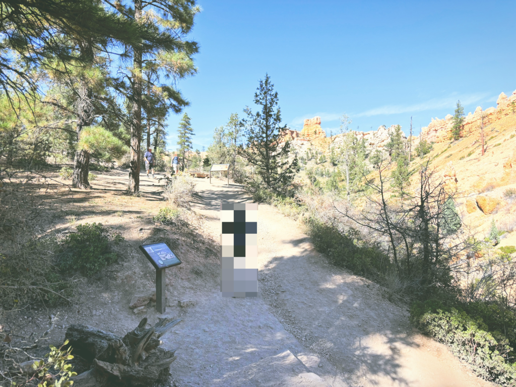 アメリカユタ州ブライスキャニオン国立公園Bryce Canyon National Park見どころ魅力トレイル・ハイキングモデルコース日本人観光