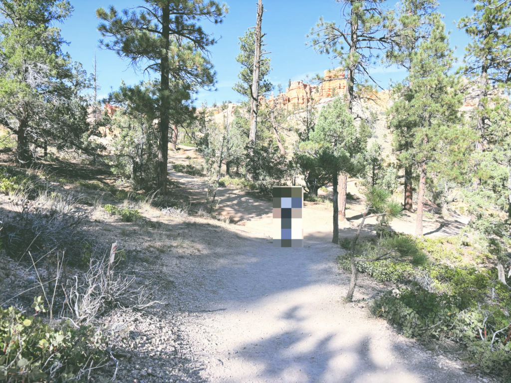 アメリカユタ州ブライスキャニオン国立公園Bryce Canyon National Park見どころ魅力トレイル・ハイキングモデルコース日本人観光