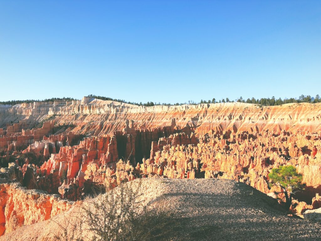 アメリカユタ州ブライスキャニオン国立公園Bryce Canyon National Park見どころ魅力トレイル・ハイキングモデルコース日本人観光