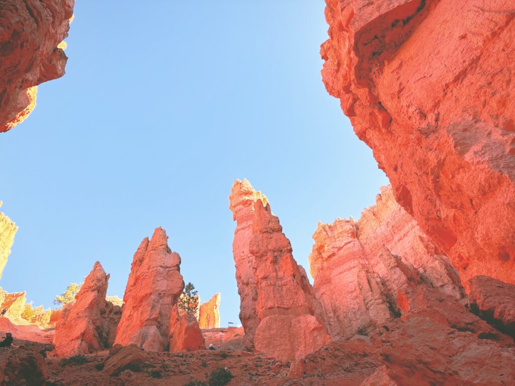 アメリカユタ州ブライスキャニオン国立公園Bryce Canyon National Park見どころ魅力トレイル・ハイキングモデルコース日本人観光