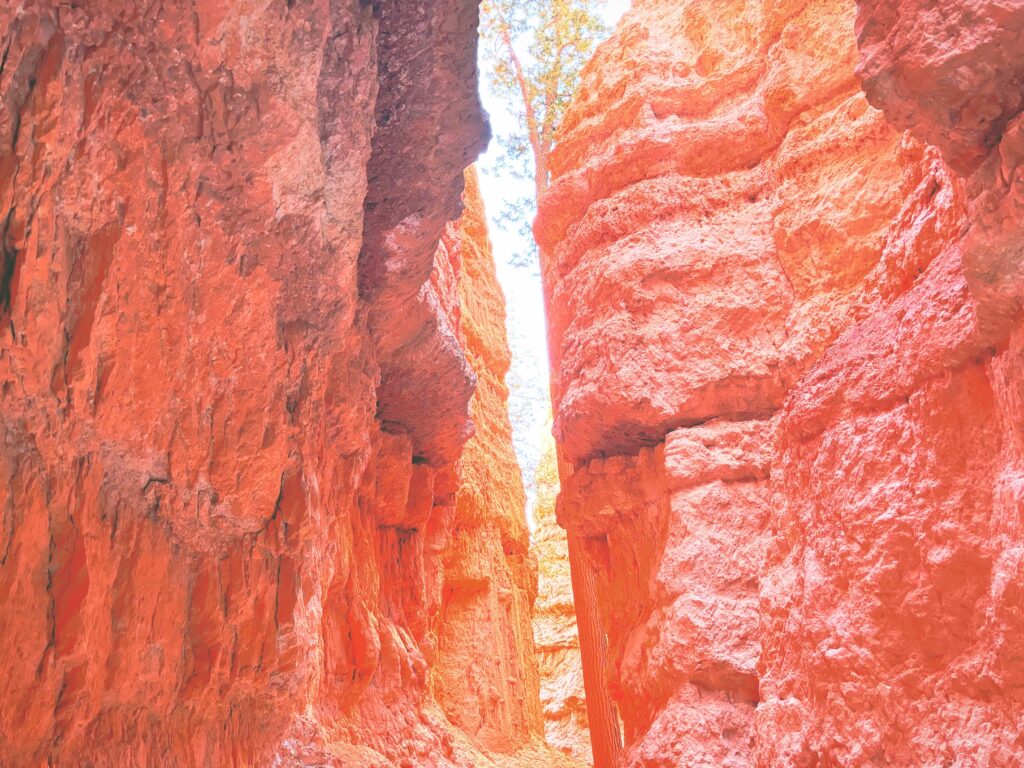 アメリカユタ州ブライスキャニオン国立公園Bryce Canyon National Park見どころ魅力トレイル・ハイキングモデルコース日本人観光