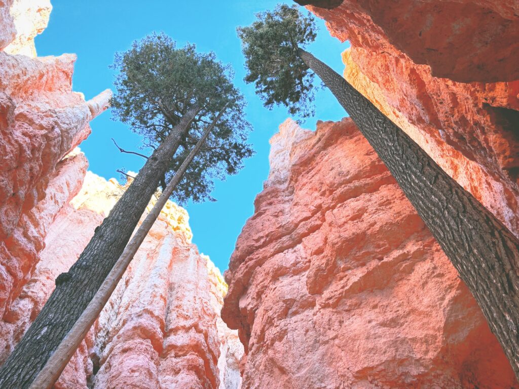 アメリカユタ州ブライスキャニオン国立公園Bryce Canyon National Park見どころ魅力トレイル・ハイキングモデルコース日本人観光