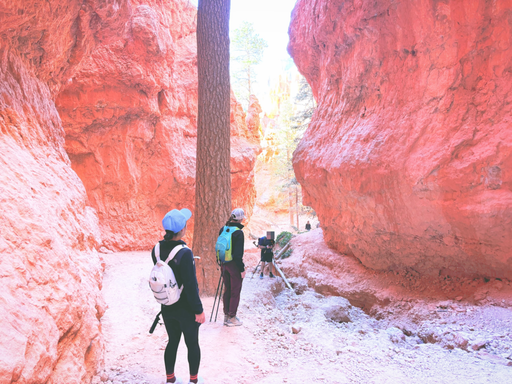 アメリカユタ州ブライスキャニオン国立公園Bryce Canyon National Park見どころ魅力トレイル・ハイキングモデルコース日本人観光