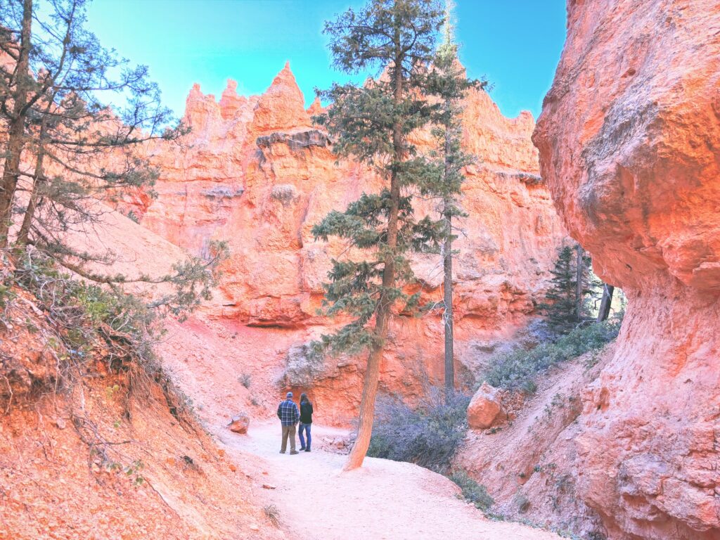 アメリカユタ州ブライスキャニオン国立公園Bryce Canyon National Park見どころ魅力トレイル・ハイキングモデルコース日本人観光