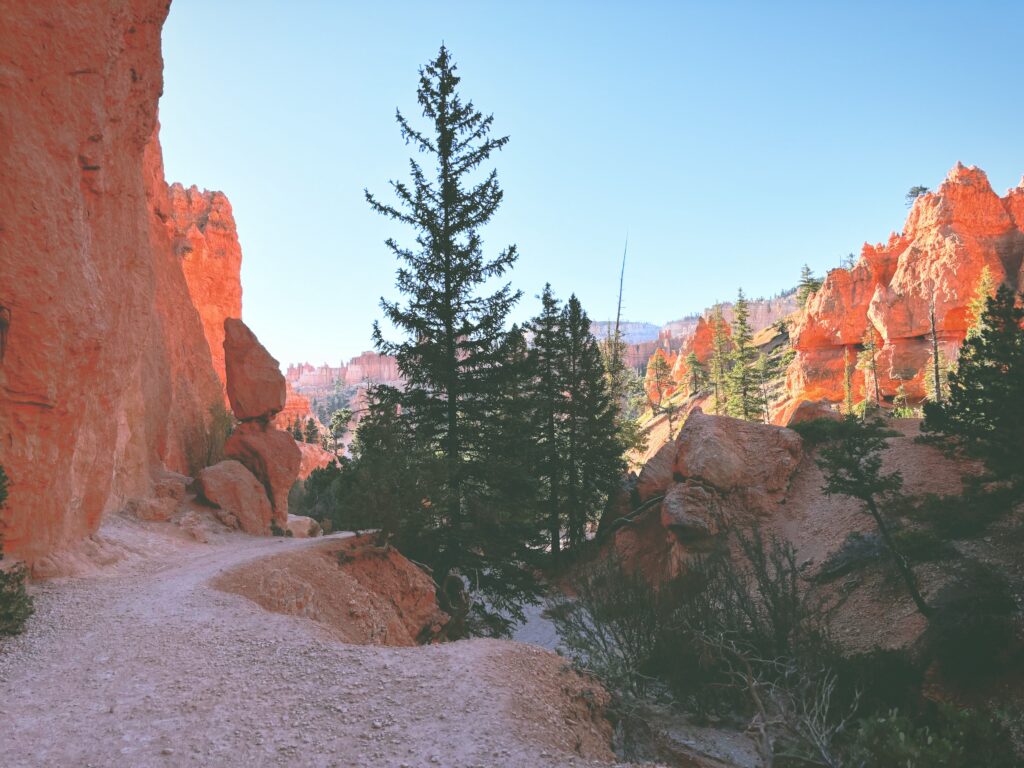 アメリカユタ州ブライスキャニオン国立公園Bryce Canyon National Park見どころ魅力トレイル・ハイキングモデルコース日本人観光