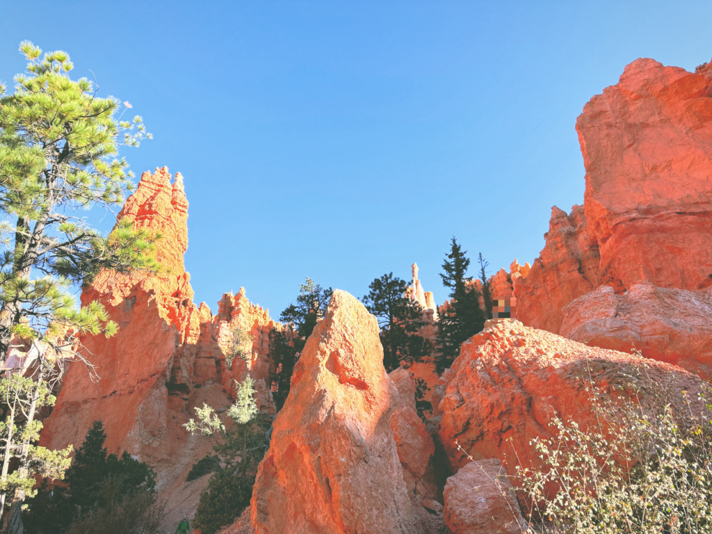 アメリカユタ州ブライスキャニオン国立公園Bryce Canyon National Park見どころ魅力トレイル・ハイキングモデルコース日本人観光