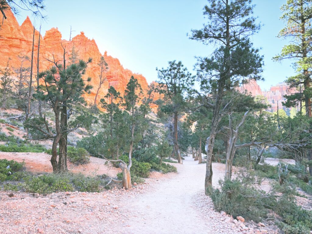 アメリカユタ州ブライスキャニオン国立公園Bryce Canyon National Park見どころ魅力トレイル・ハイキングモデルコース日本人観光