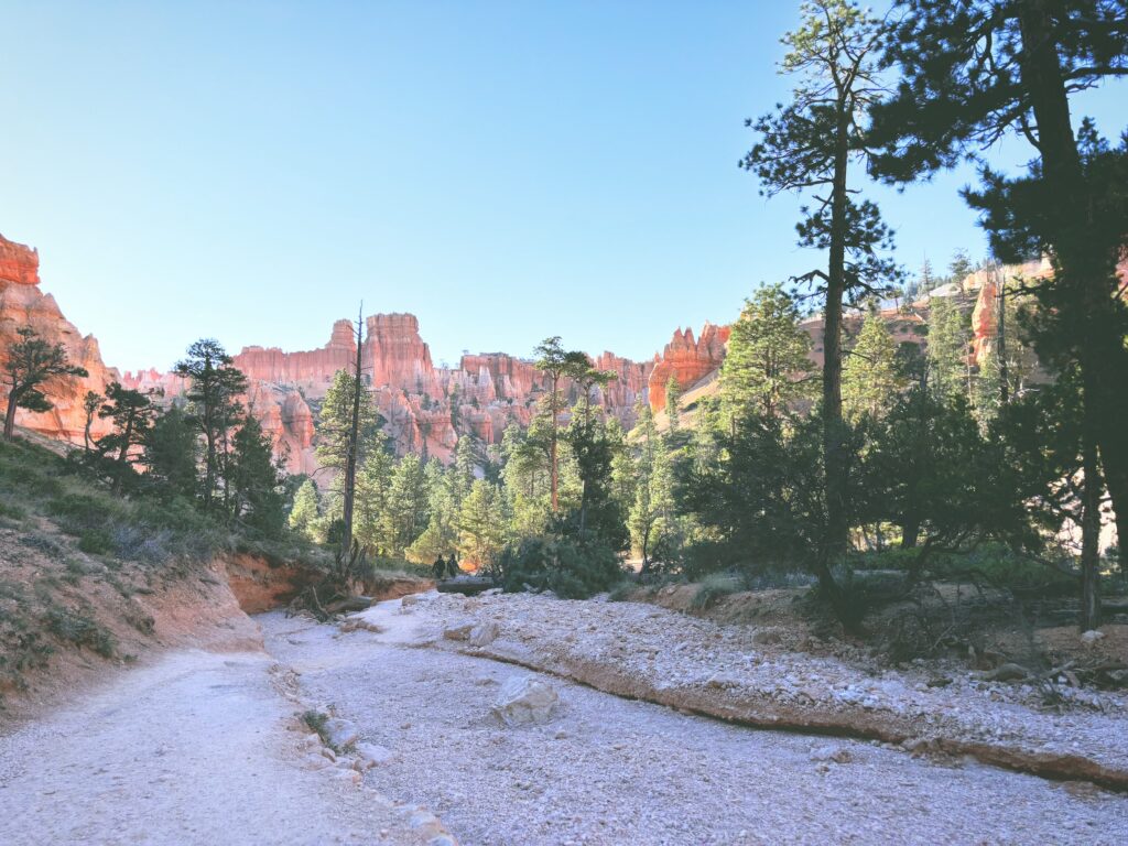 アメリカユタ州ブライスキャニオン国立公園Bryce Canyon National Park見どころ魅力トレイル・ハイキングモデルコース日本人観光