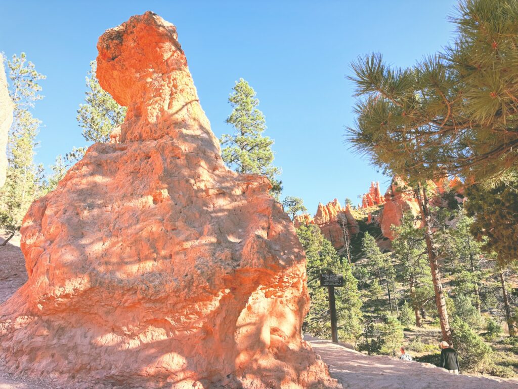 アメリカユタ州ブライスキャニオン国立公園Bryce Canyon National Park見どころ魅力トレイル・ハイキングモデルコース日本人観光