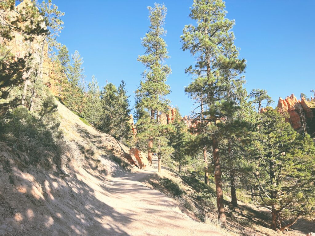 アメリカユタ州ブライスキャニオン国立公園Bryce Canyon National Park見どころ魅力トレイル・ハイキングモデルコース日本人観光