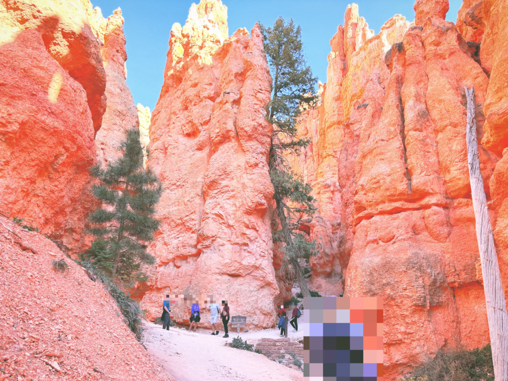 アメリカユタ州ブライスキャニオン国立公園Bryce Canyon National Park見どころ魅力トレイル・ハイキングモデルコース日本人観光