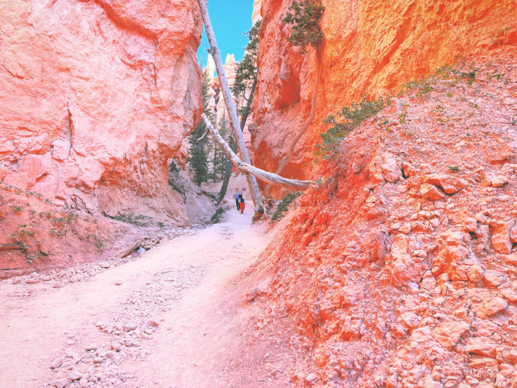 アメリカユタ州ブライスキャニオン国立公園Bryce Canyon National Park見どころ魅力トレイル・ハイキングモデルコース日本人観光