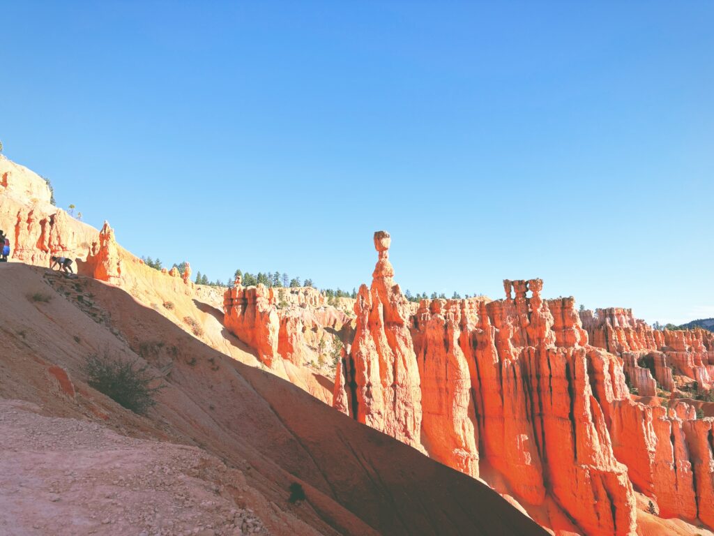 アメリカユタ州ブライスキャニオン国立公園Bryce Canyon National Park見どころ魅力トレイル・ハイキングモデルコース日本人観光