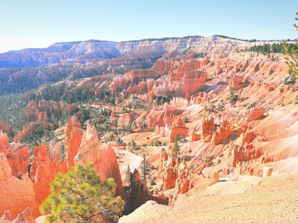 アメリカユタ州ブライスキャニオン国立公園Bryce Canyon National Park見どころ魅力トレイル・ハイキングモデルコース日本人観光