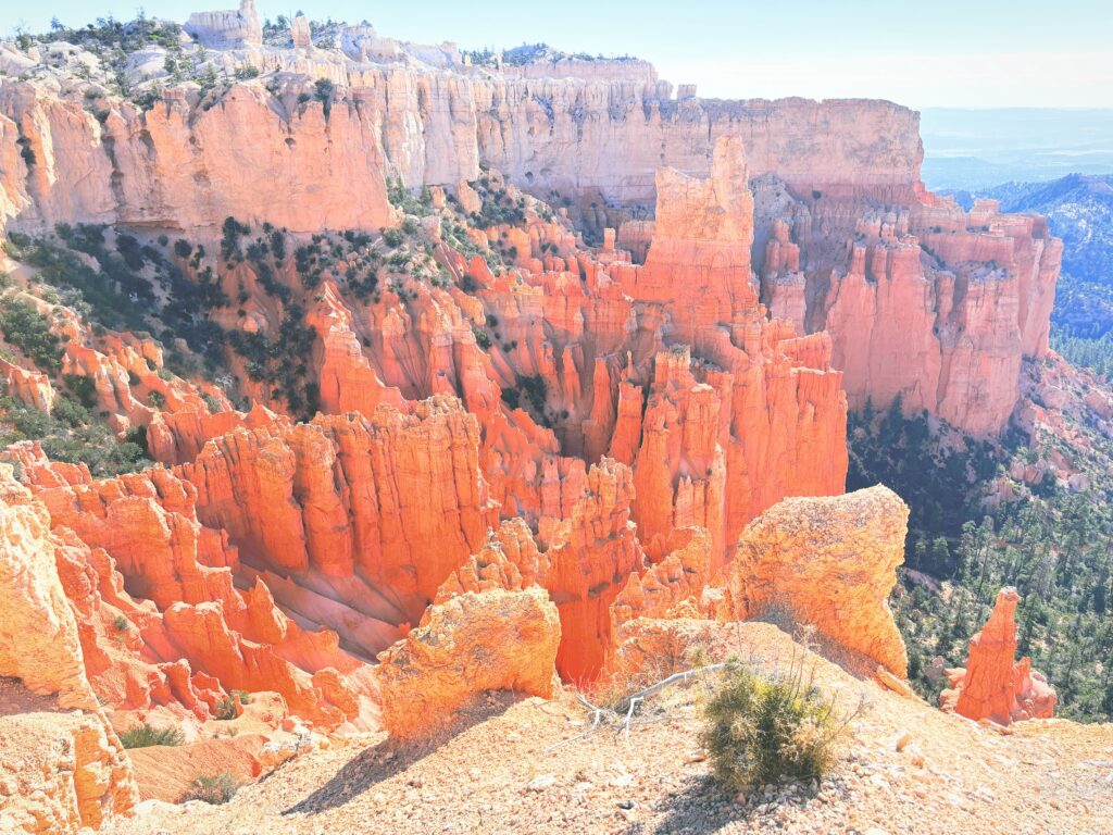 アメリカユタ州ブライスキャニオン国立公園Bryce Canyon National Park見どころ魅力トレイル・ハイキングモデルコース日本人観光