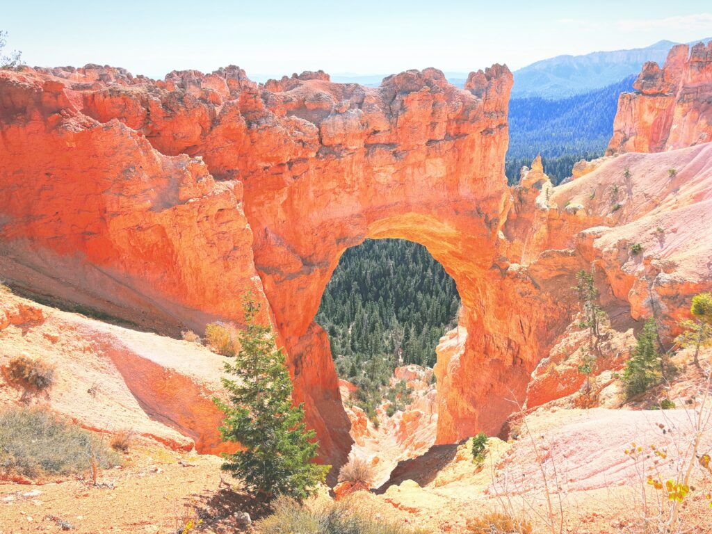 アメリカユタ州ブライスキャニオン国立公園Bryce Canyon National Park見どころ魅力トレイル・ハイキングモデルコース日本人観光