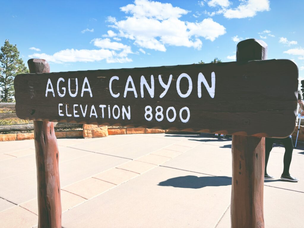 アメリカユタ州ブライスキャニオン国立公園Bryce Canyon National Park見どころ魅力トレイル・ハイキングモデルコース日本人観光