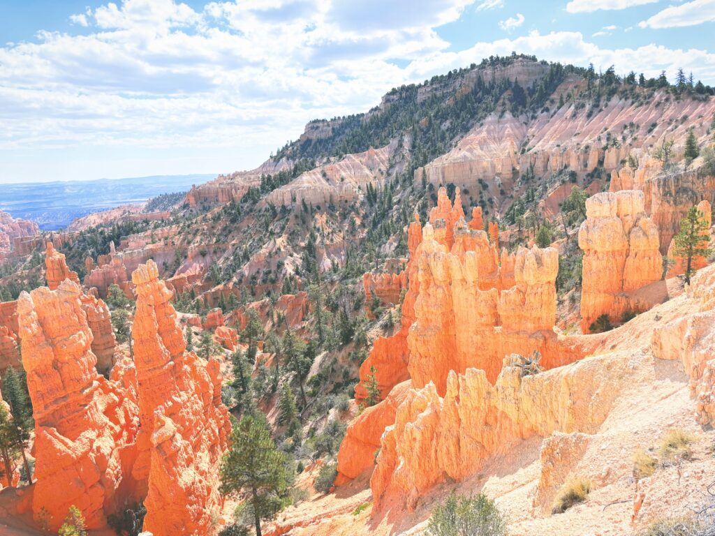 アメリカユタ州ブライスキャニオン国立公園Bryce Canyon National Park見どころ魅力トレイル・ハイキングモデルコース日本人観光