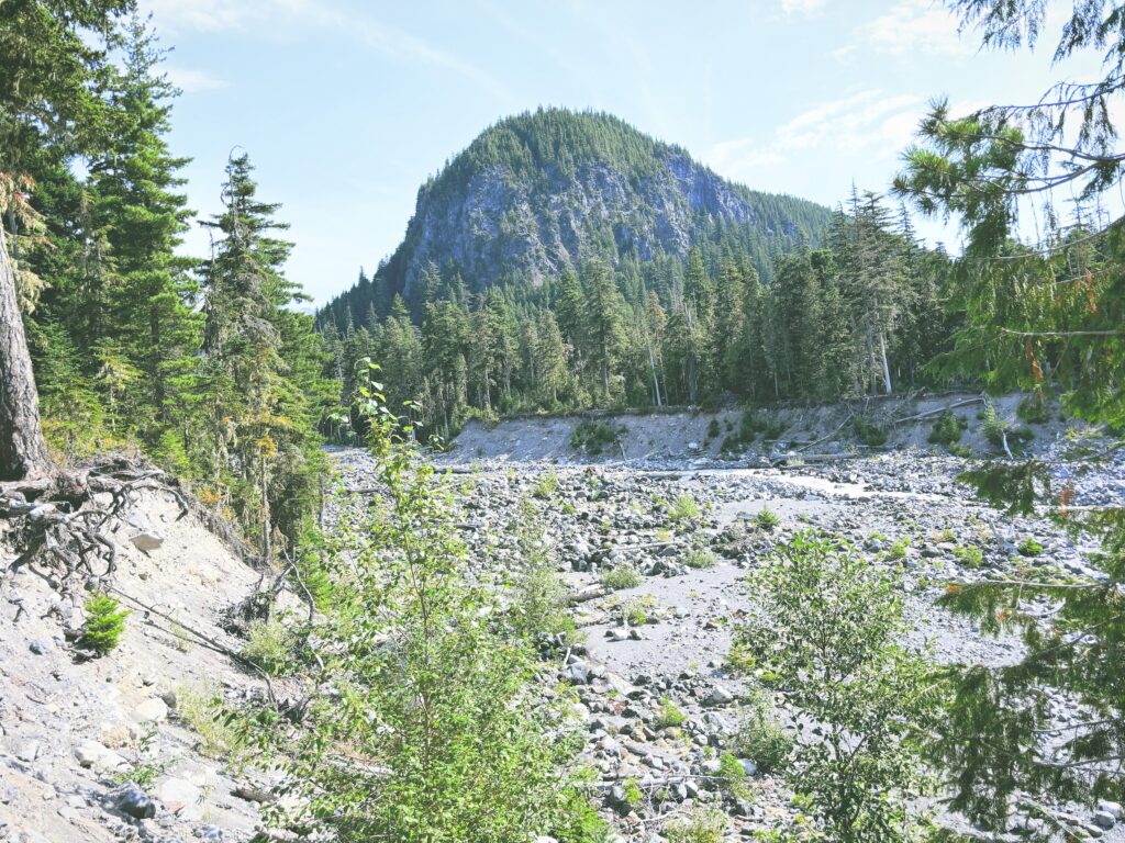 アメリカワシントン州マウントレーニア国立公園Mount Rainier National Park見どころ魅力トレイル・ハイキングモデルコース日本人観光