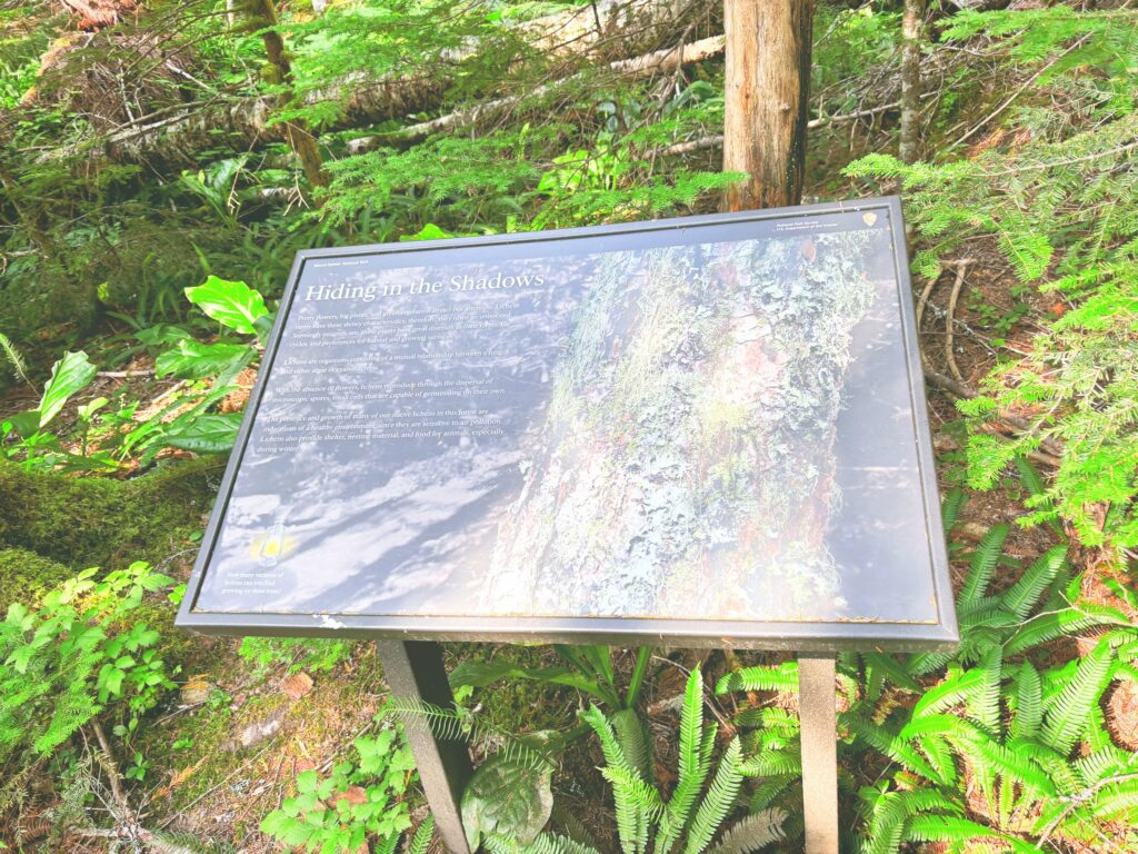 アメリカワシントン州マウントレーニア国立公園Mount Rainier National Park見どころ魅力トレイル・ハイキングモデルコース日本人観光