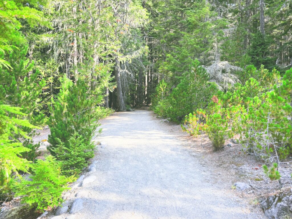 アメリカワシントン州マウントレーニア国立公園Mount Rainier National Park見どころ魅力トレイル・ハイキングモデルコース日本人観光