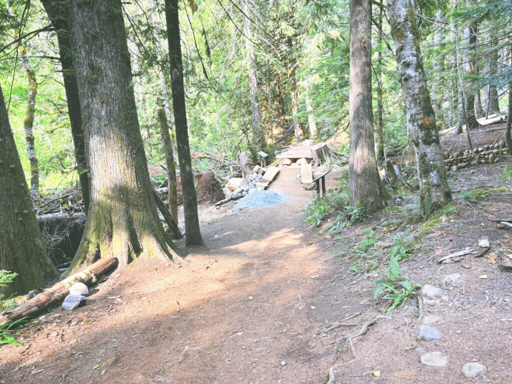 アメリカワシントン州マウントレーニア国立公園Mount Rainier National Park見どころ魅力トレイル・ハイキングモデルコース日本人観光