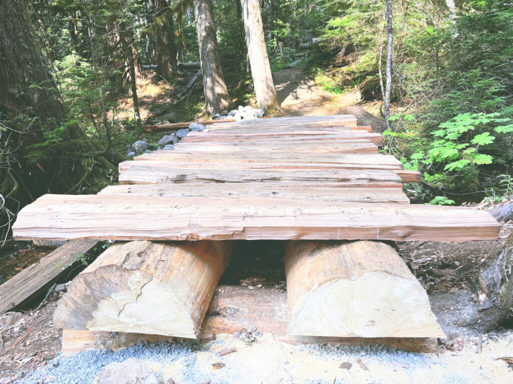 アメリカワシントン州マウントレーニア国立公園Mount Rainier National Park見どころ魅力トレイル・ハイキングモデルコース日本人観光