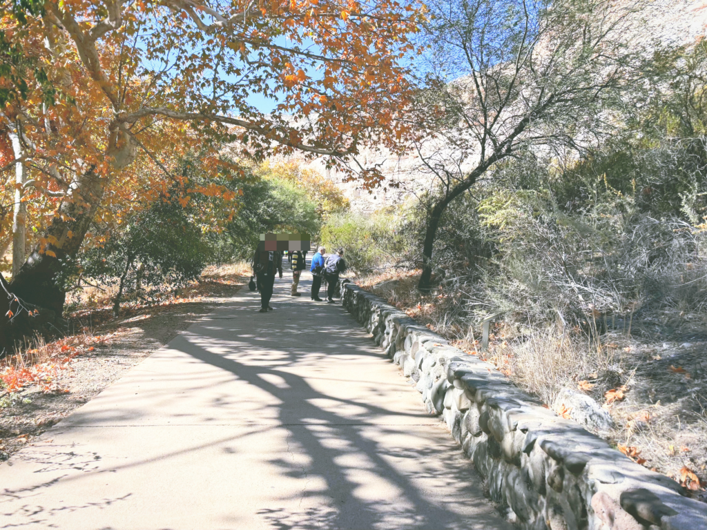 アメリカアリゾナ州モンテズマキャッスル国定公園Montezuma Castle National Monument見どころ魅力トレイル・ハイキングモデルコース日本人観光