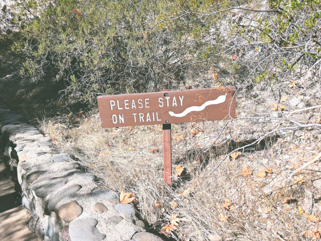 アメリカアリゾナ州モンテズマキャッスル国定公園Montezuma Castle National Monument見どころ魅力トレイル・ハイキングモデルコース日本人観光