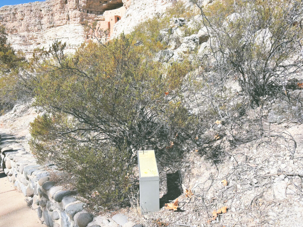 アメリカアリゾナ州モンテズマキャッスル国定公園Montezuma Castle National Monument見どころ魅力トレイル・ハイキングモデルコース日本人観光