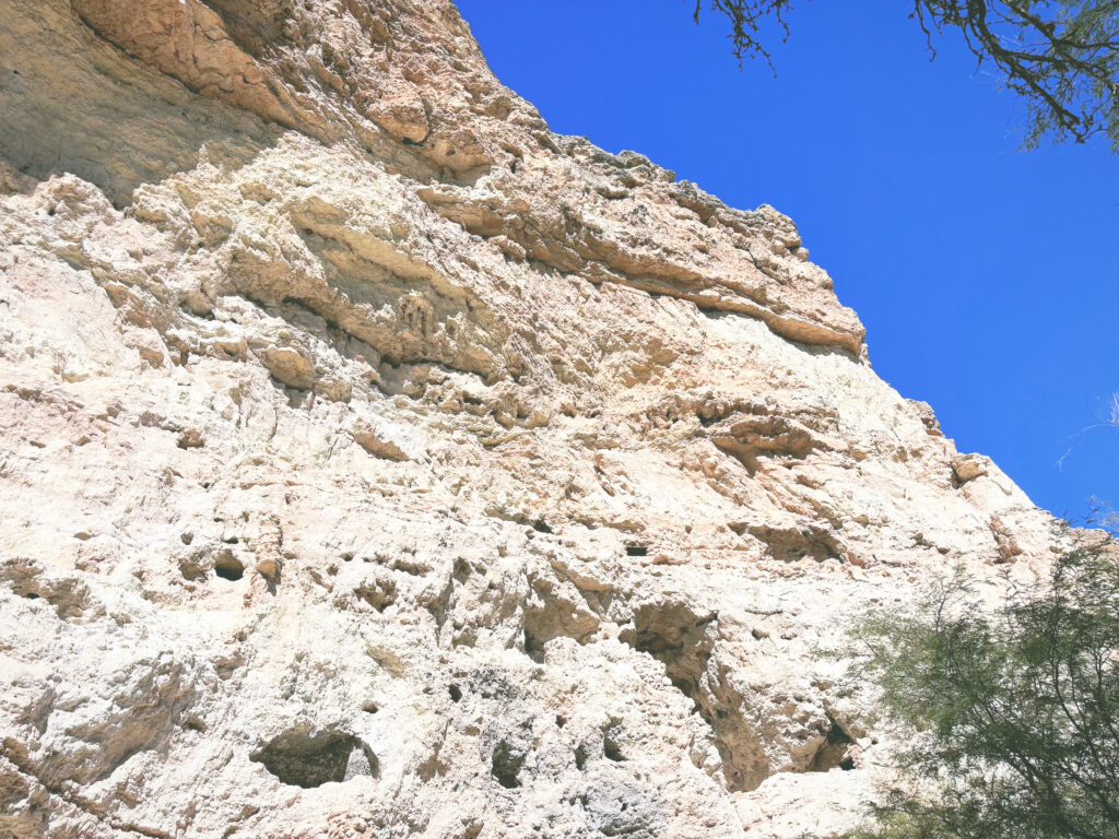 アメリカアリゾナ州モンテズマキャッスル国定公園Montezuma Castle National Monument見どころ魅力トレイル・ハイキングモデルコース日本人観光