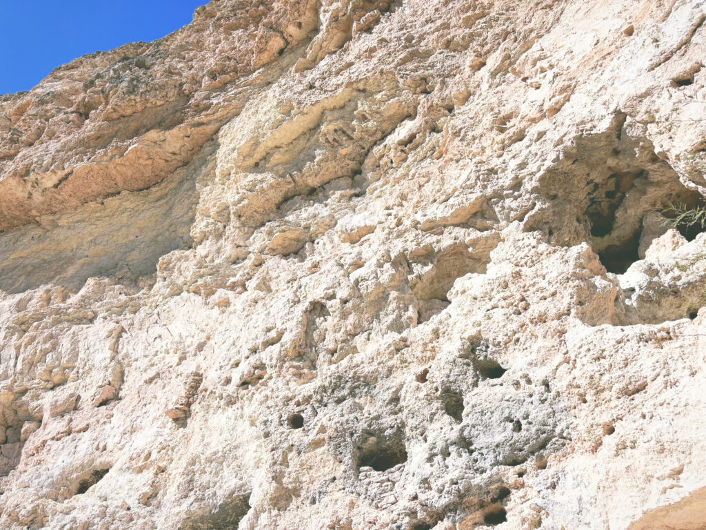 アメリカアリゾナ州モンテズマキャッスル国定公園Montezuma Castle National Monument見どころ魅力トレイル・ハイキングモデルコース日本人観光