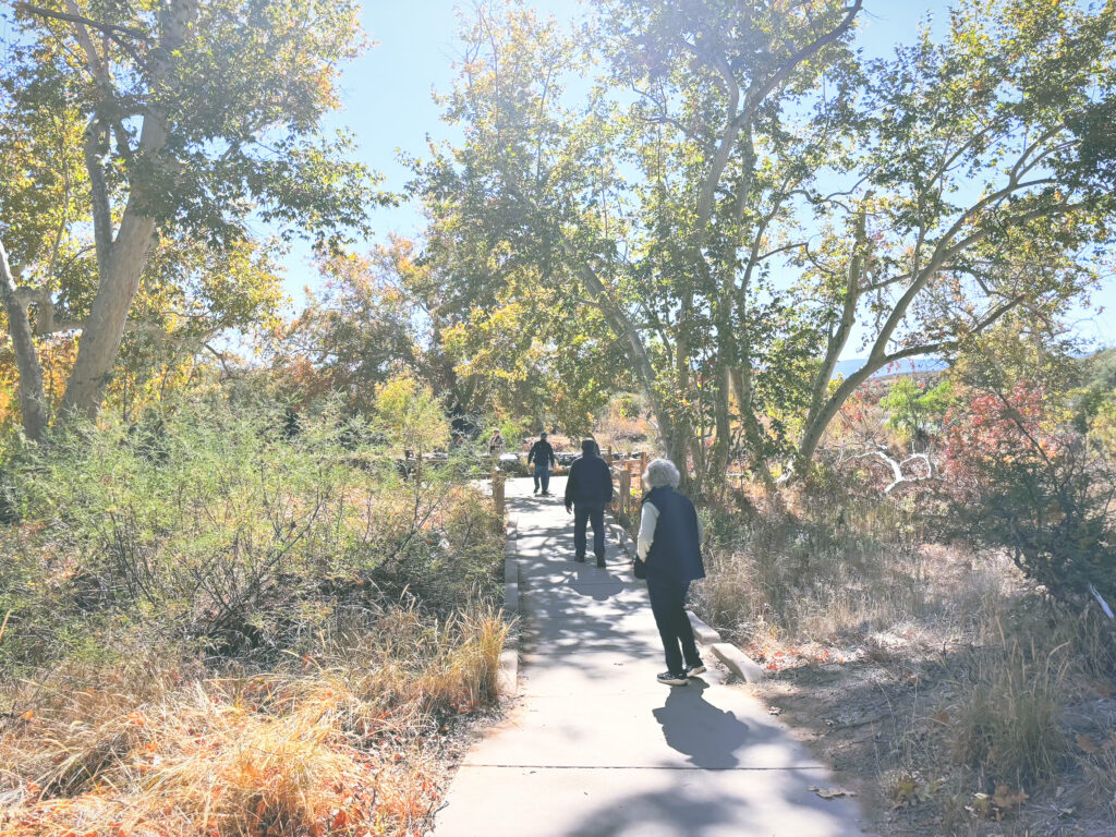 アメリカアリゾナ州モンテズマキャッスル国定公園Montezuma Castle National Monument見どころ魅力トレイル・ハイキングモデルコース日本人観光