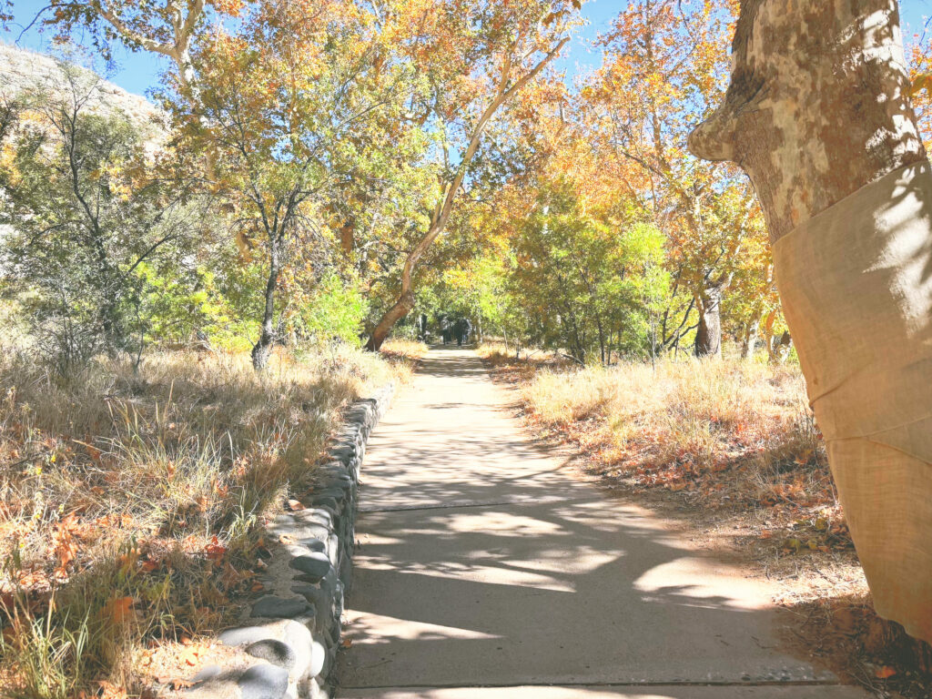 アメリカアリゾナ州モンテズマキャッスル国定公園Montezuma Castle National Monument見どころ魅力トレイル・ハイキングモデルコース日本人観光