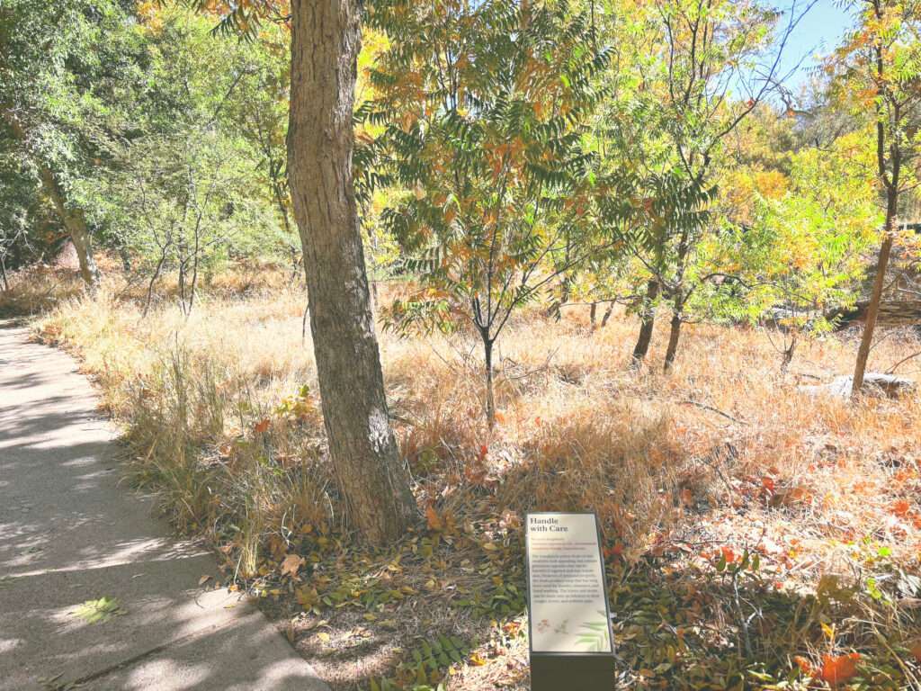 アメリカアリゾナ州モンテズマキャッスル国定公園Montezuma Castle National Monument見どころ魅力トレイル・ハイキングモデルコース日本人観光