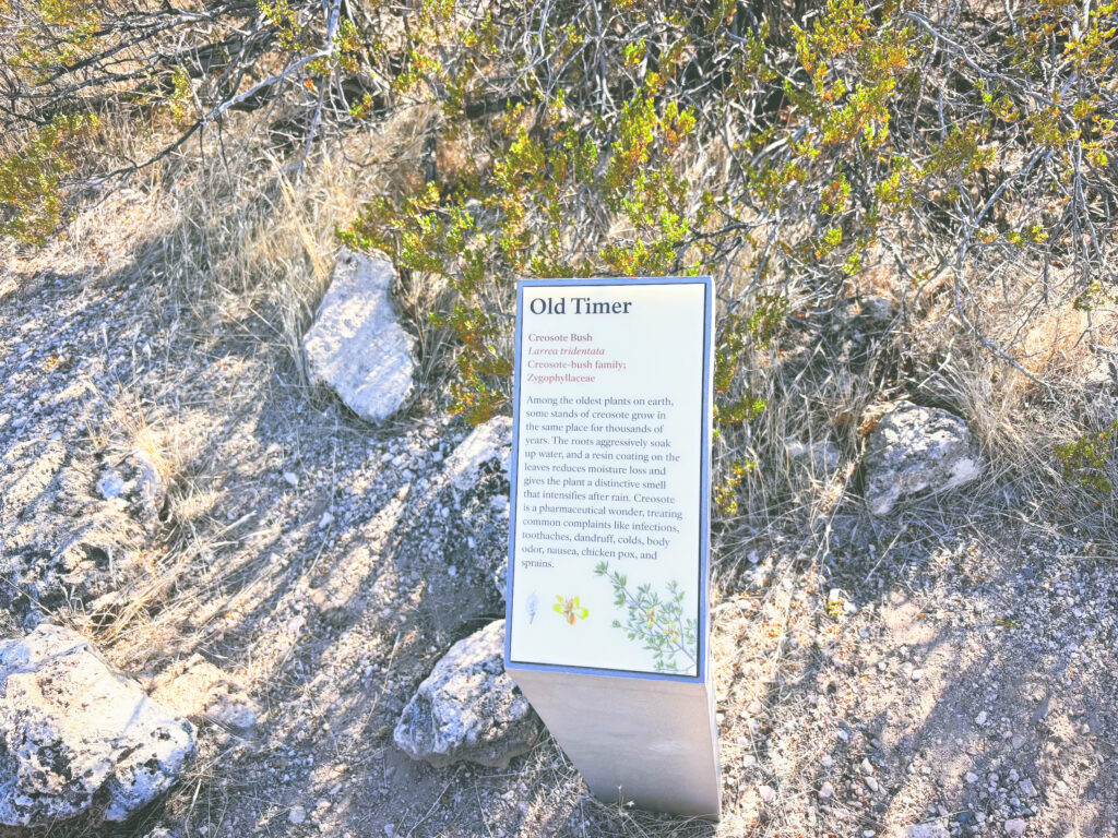 アメリカアリゾナ州モンテズマキャッスル国定公園Montezuma Castle National Monument見どころ魅力トレイル・ハイキングモデルコース日本人観光