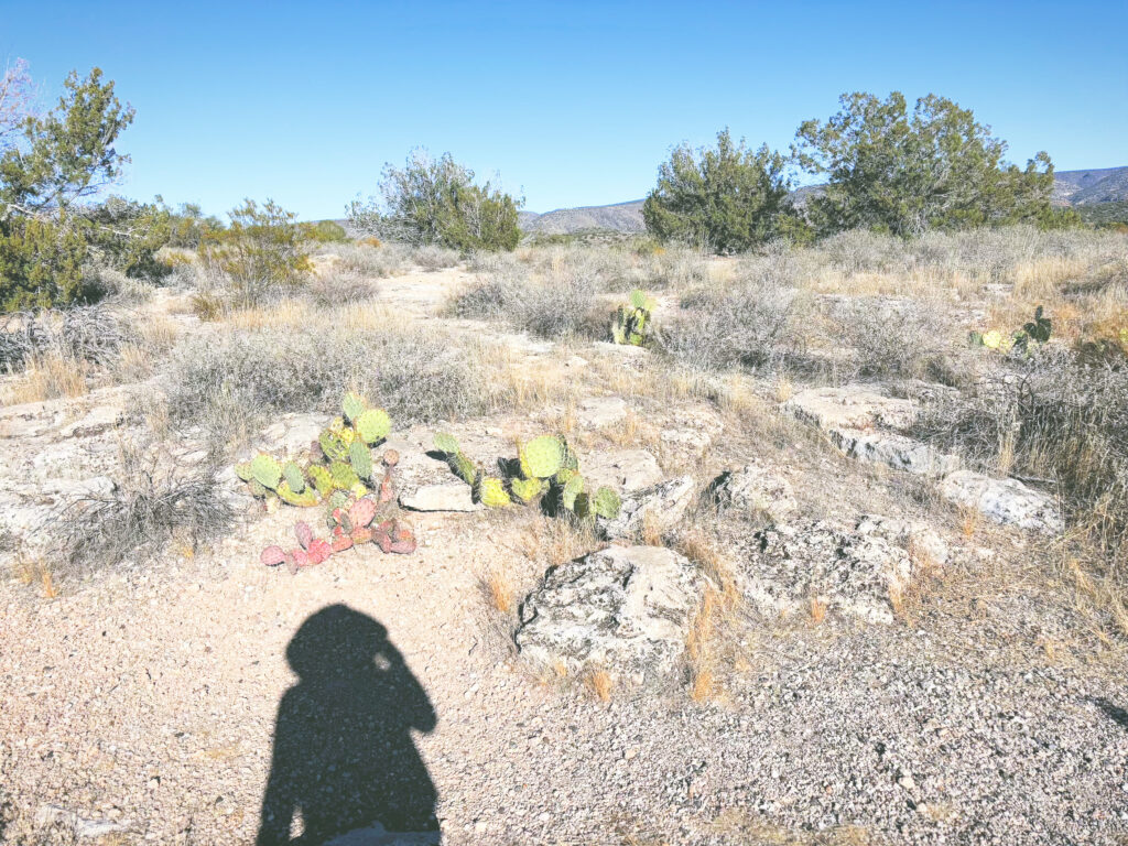 アメリカアリゾナ州モンテズマキャッスル国定公園Montezuma Castle National Monument見どころ魅力トレイル・ハイキングモデルコース日本人観光