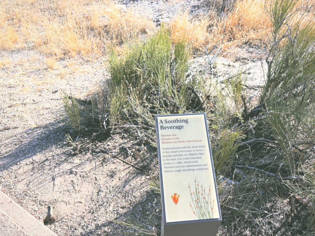 アメリカアリゾナ州モンテズマキャッスル国定公園Montezuma Castle National Monument見どころ魅力トレイル・ハイキングモデルコース日本人観光