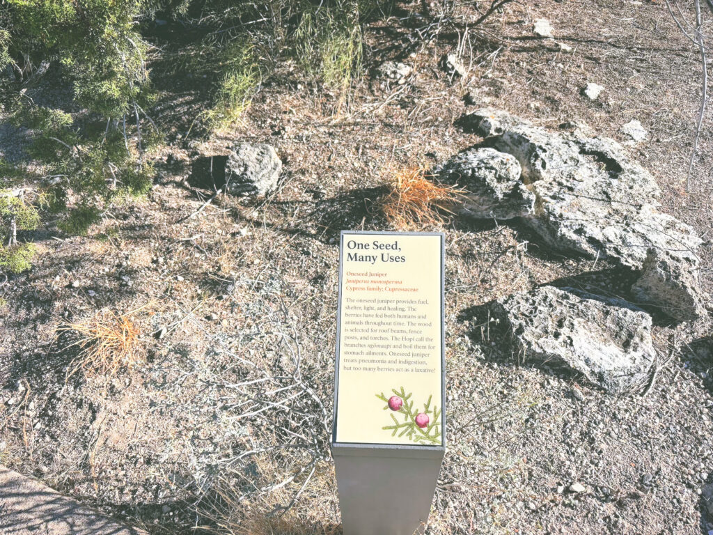 アメリカアリゾナ州モンテズマキャッスル国定公園Montezuma Castle National Monument見どころ魅力トレイル・ハイキングモデルコース日本人観光