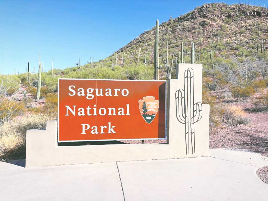 アメリカアリゾナ州サワロ国立公園Saguaro National Park見どころ魅力トレイル・ハイキングモデルコース日本人観光