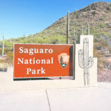 アメリカアリゾナ州サワロ国立公園Saguaro National Park見どころ魅力トレイル・ハイキングモデルコース日本人観光