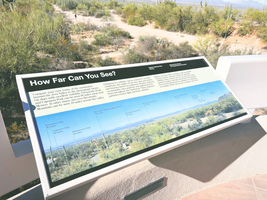 アメリカアリゾナ州サワロ国立公園Saguaro National Park見どころ魅力トレイル・ハイキングモデルコース日本人観光