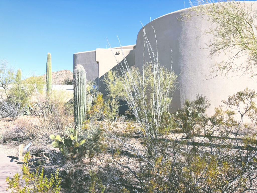 アメリカアリゾナ州サワロ国立公園Saguaro National Park見どころ魅力トレイル・ハイキングモデルコース日本人観光