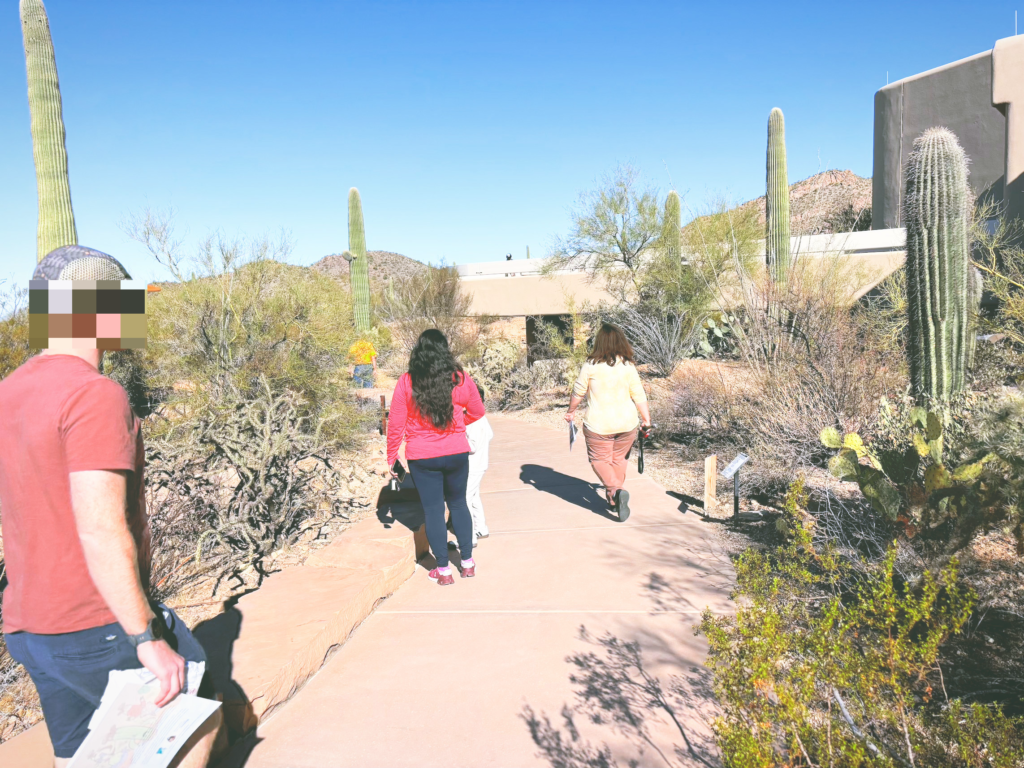 アメリカアリゾナ州サワロ国立公園Saguaro National Park見どころ魅力トレイル・ハイキングモデルコース日本人観光