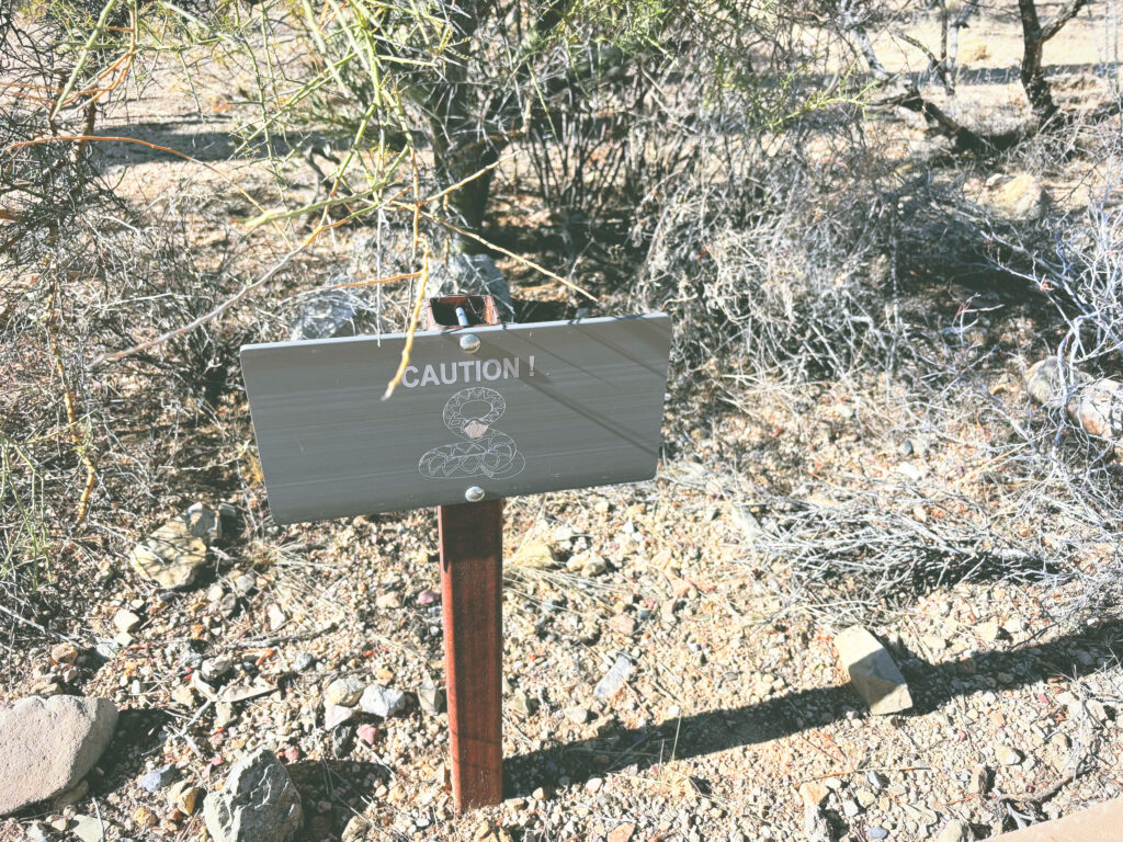 アメリカアリゾナ州サワロ国立公園Saguaro National Park見どころ魅力トレイル・ハイキングモデルコース日本人観光